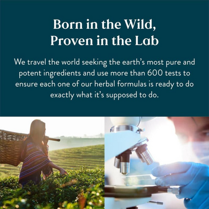 Lymphatic Drainage Supplement by VIMVY™